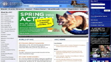 American Kennel Club (AKC)