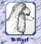 B-Wurf